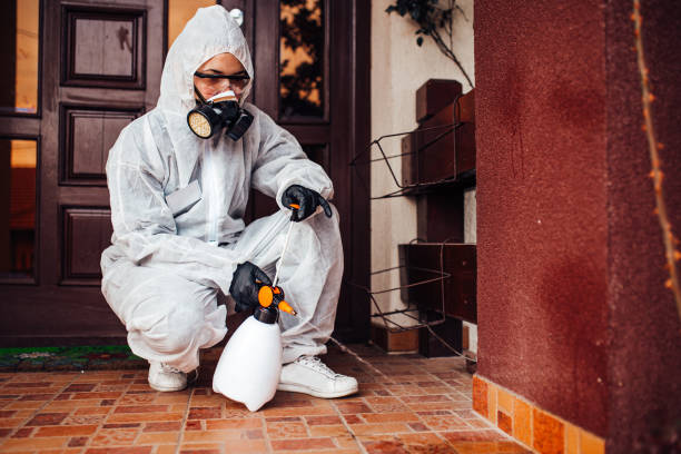 Attic and Crawl Space Rodent Treatment in Le Grand